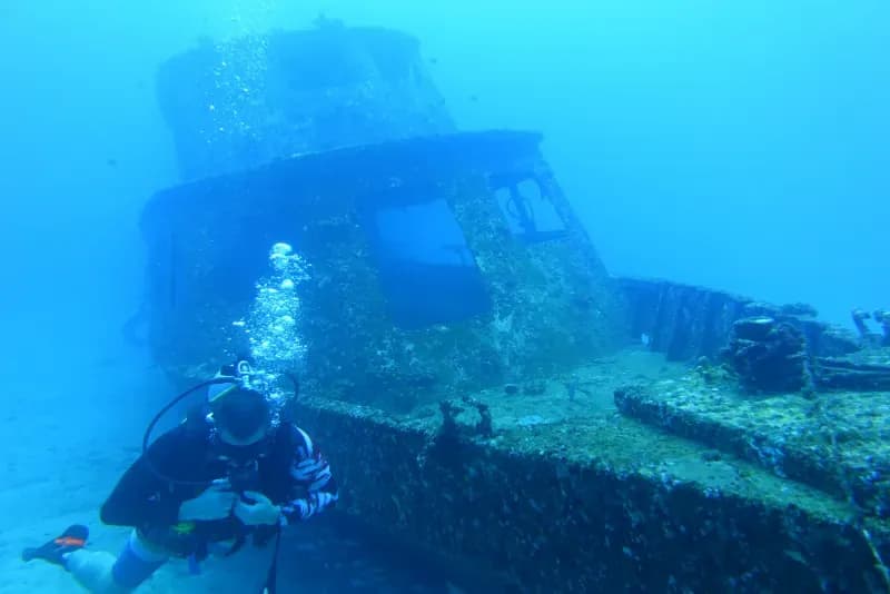 Coral formations at Bay 1