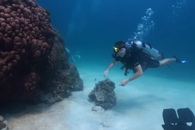 Underwater coral formations at Bay 3