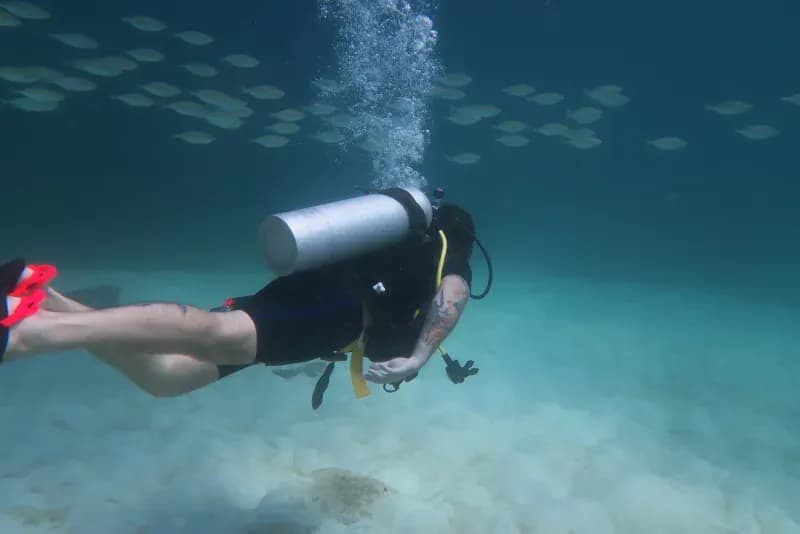 Artificial reef at Bay 3 in Racha Yai