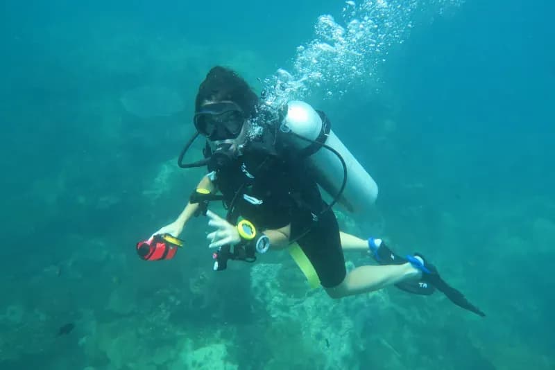 Anemon Reef Diving Site - Anemones and clownfish