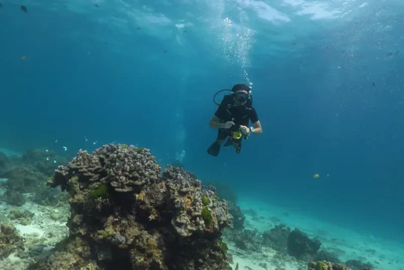 Underwater landscape at Banana Bay