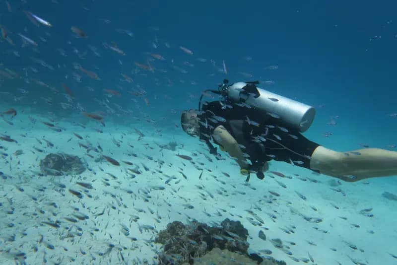 Home Run Reef diving site image 3