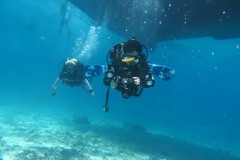 Home Run Reef diving site image 4