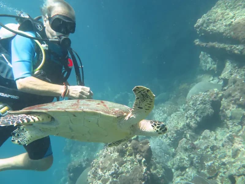 Koh Bida Nai diving site image 2