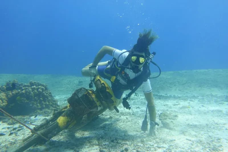 Manta Bay diving site image 1