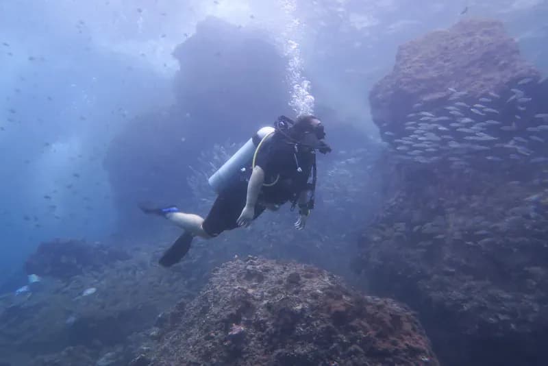 Palong Wall Diving Image 3