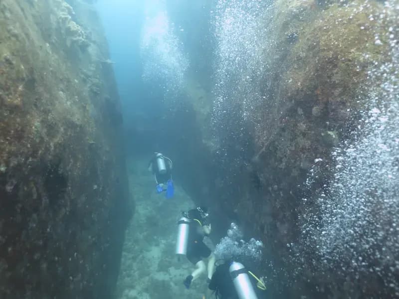 Similan Islands Diving Image 1