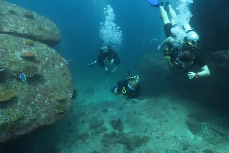 Similan Islands Diving Image 3