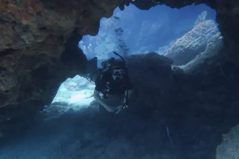 Turtle Rock Diving Image 3