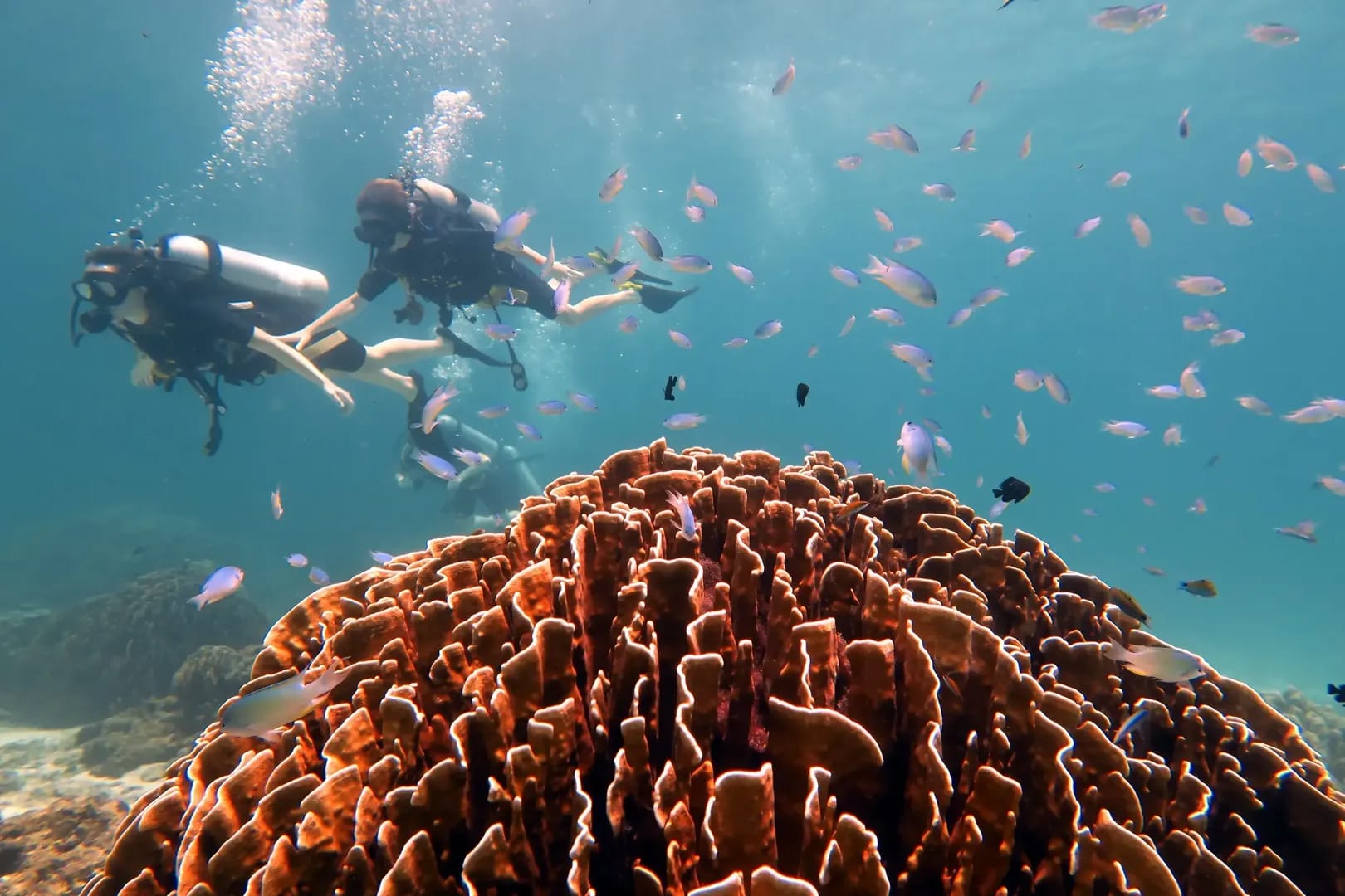 Banana Bay Diving Site