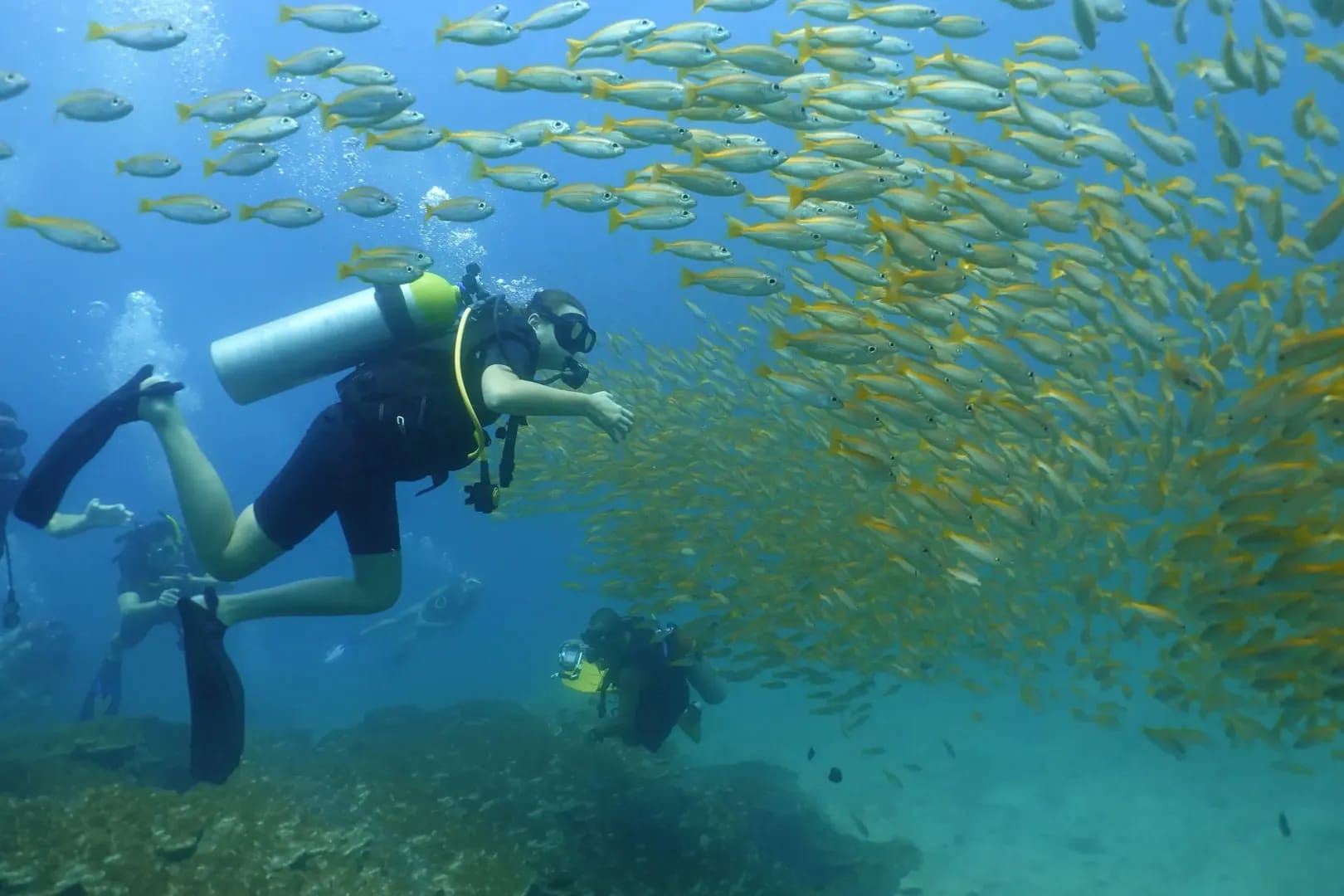 Beautiful underwater view of Koh Bida Nai with colorful fish and corals