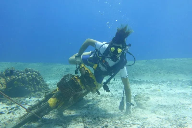 Manta Bay diving site image 1