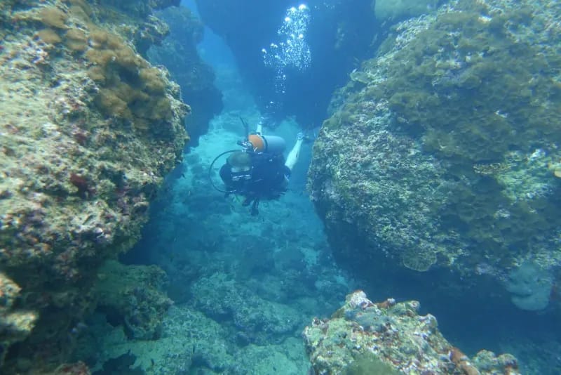 Turtle Rock Diving Image 1