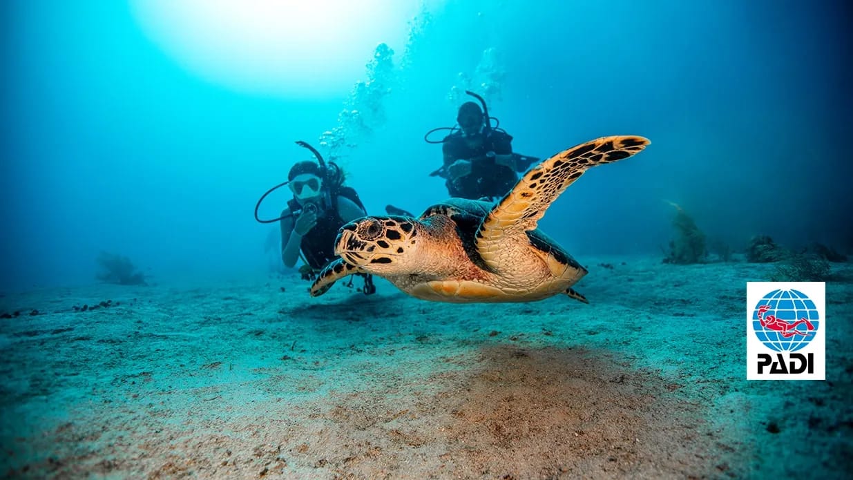 Advanced Open Water Diver Course