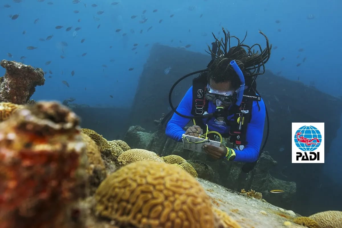 PADI Divemaster Course in Phuket