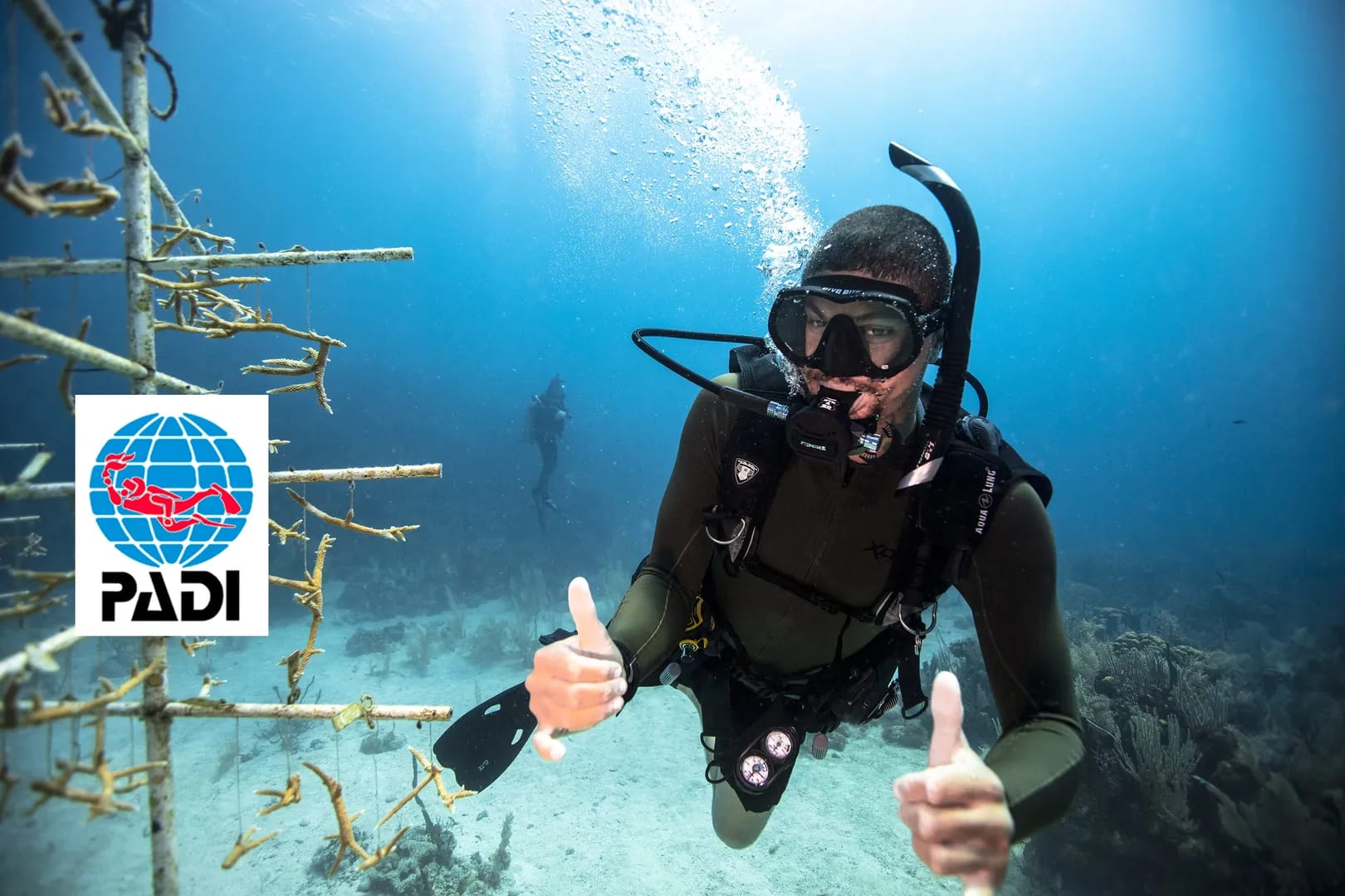 PADI diving certification system