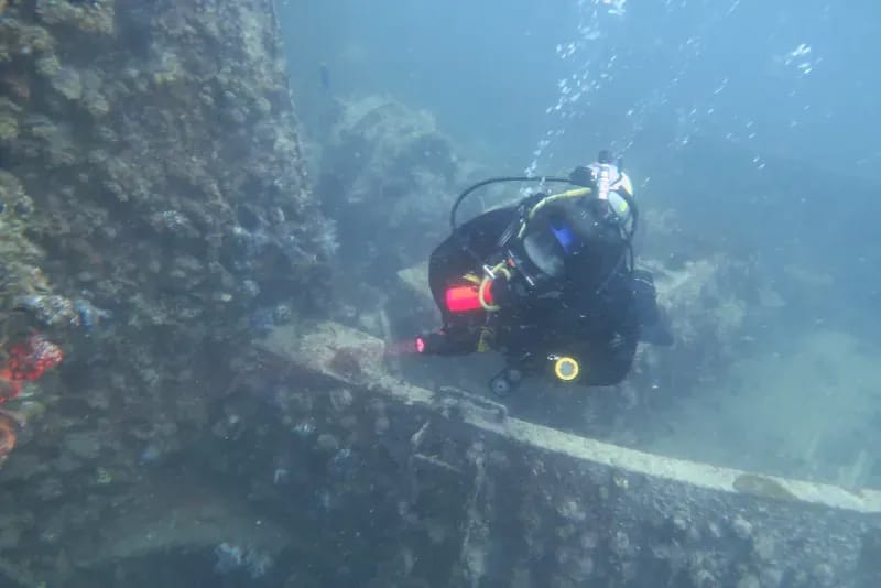 King Cruiser & Shark Point Diving Day Trips.