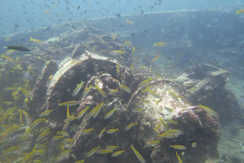 King Cruiser Wreck image 4