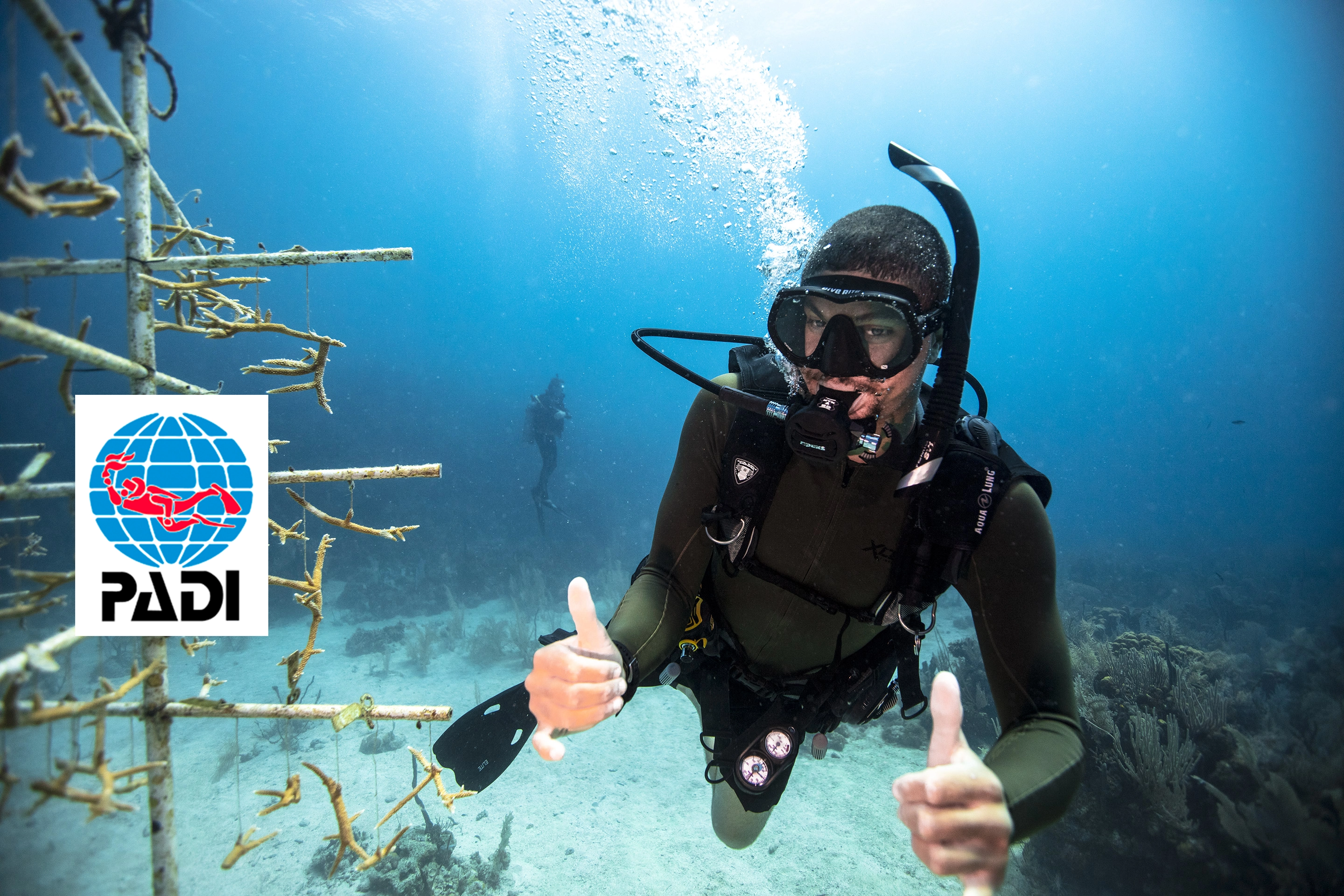 PADI diving certification system